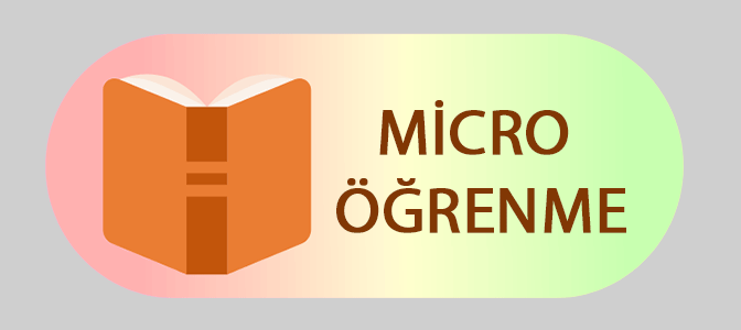 Mikro Öğrenme